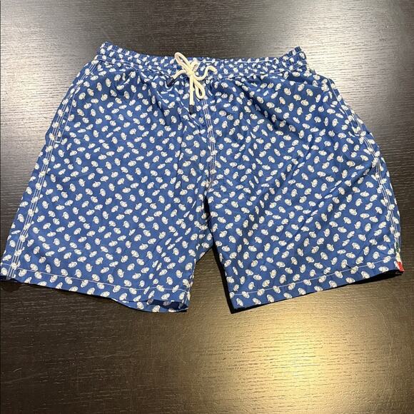 Fedeli Blue Patterned Men's Swim Shorts